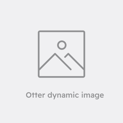 Bibimbap of Mr. Crazy Baboy